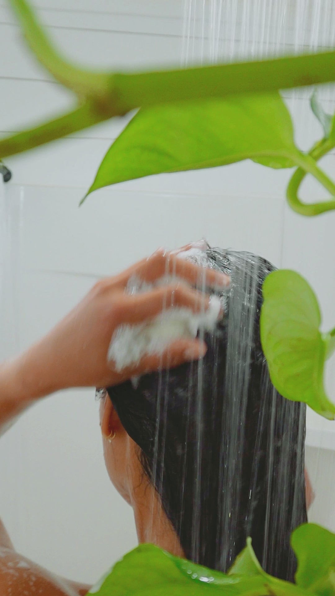 Rice Protein Shampoo Bar